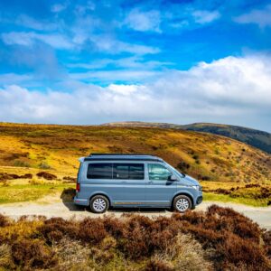 276226552_509930384134828_1398705077012239063_n 276226552_509930384134828_1398705077012239063_n